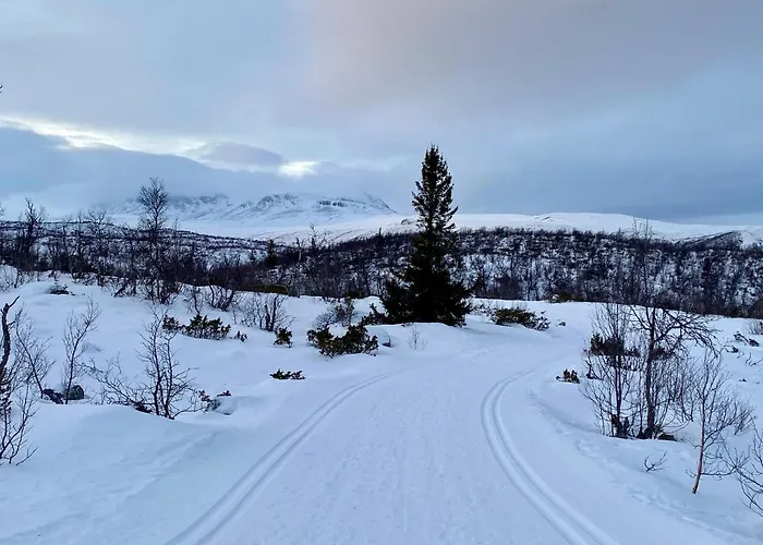 Hakkesetstolen Fjellstugu
