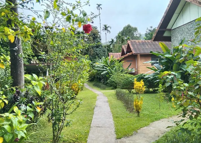 Khao Sok River & Jungle Resort
