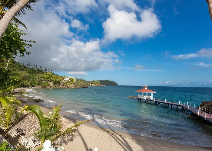 Bahia Principe Escape Samaná - Hyatt Inclusive Collection - Adults Only