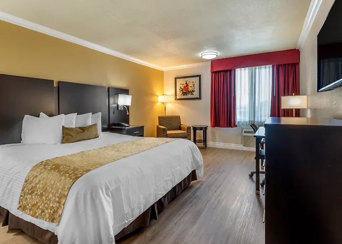 Best Western Plus South Bay Hotel