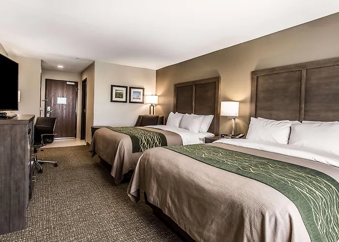 Comfort Inn & Suites Snyder