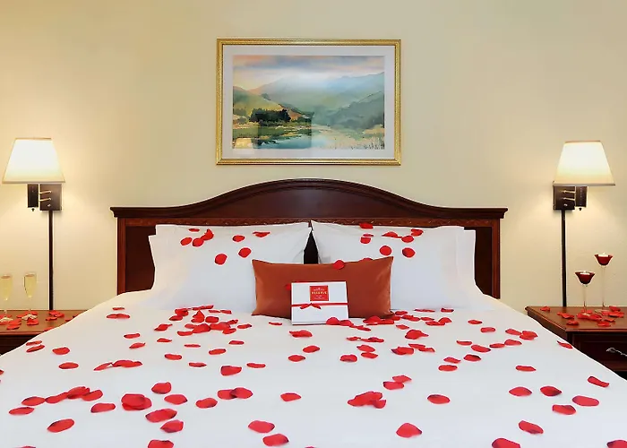 Hampton Inn Spartanburg Hotel