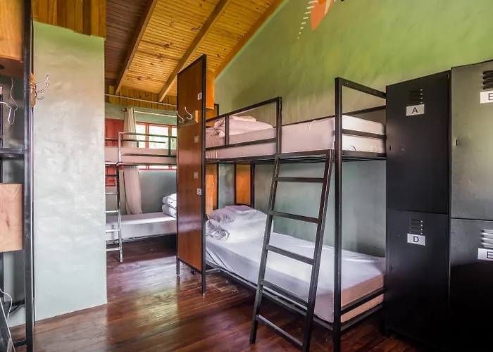 Socialtel Monteverde