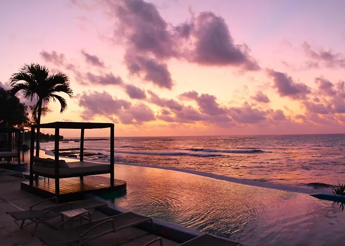 Senses Riviera Maya - Ocean Front Boutique Hotel - Adults only