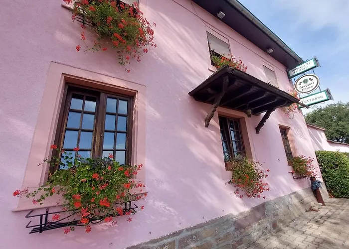 Logis Hôtel Auberge De La Foret