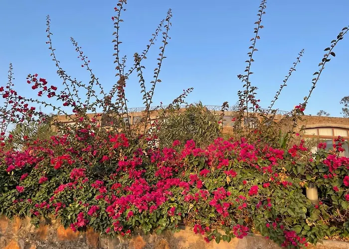Gondar Hills Resort