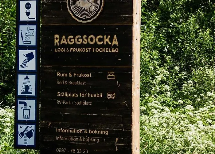 Raggsocka Logi