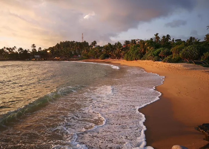 Turtle Bay Beach Resort