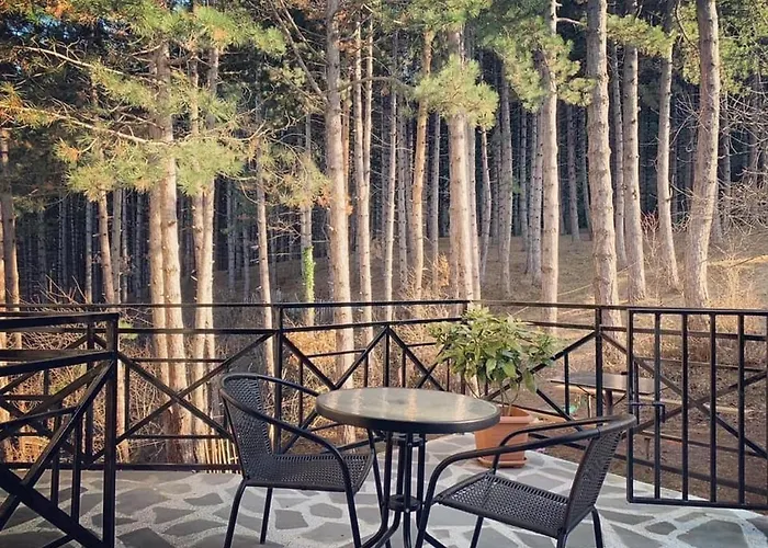 Hotel Surami