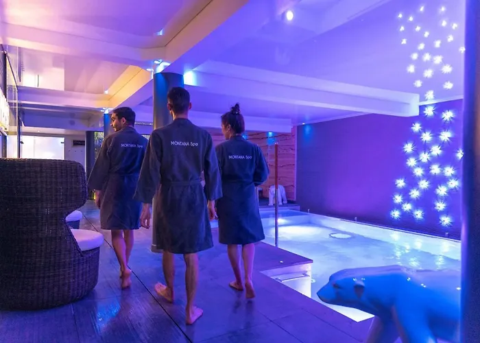 Montana Chalet Hôtel&Spa