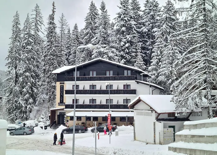 Manor Ski Hotel