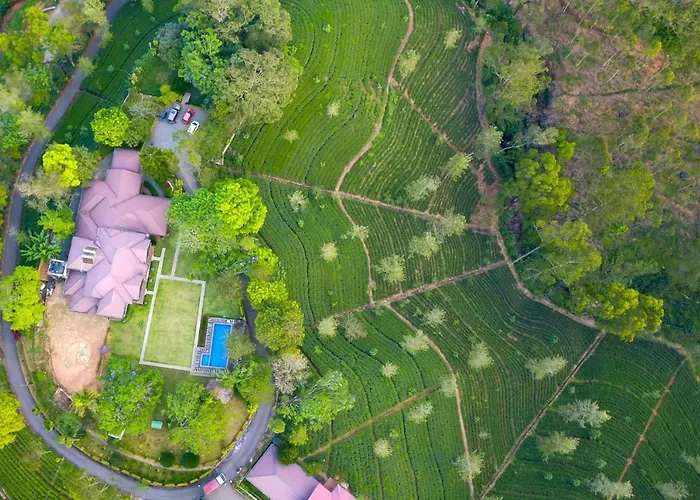 Grand Argyle Resort