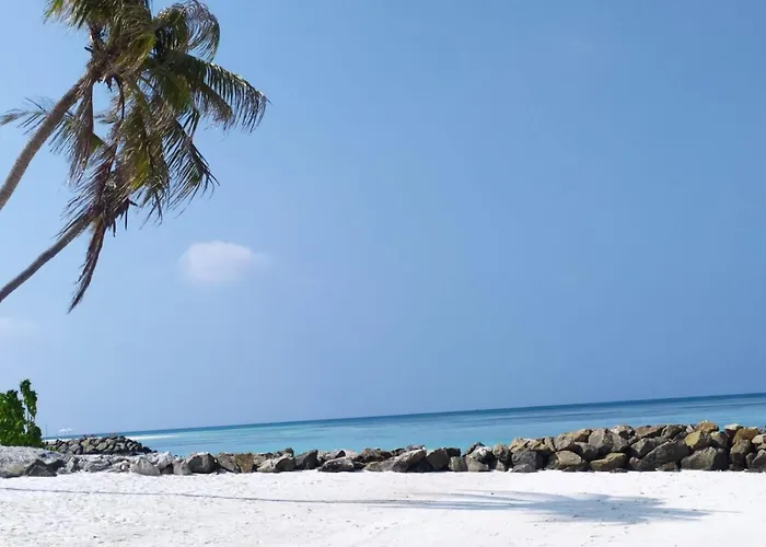 Courtyard Maldives
