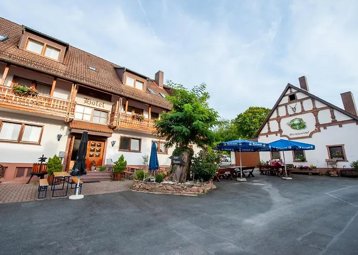 Hotel Landgasthof Oberschnorrhof