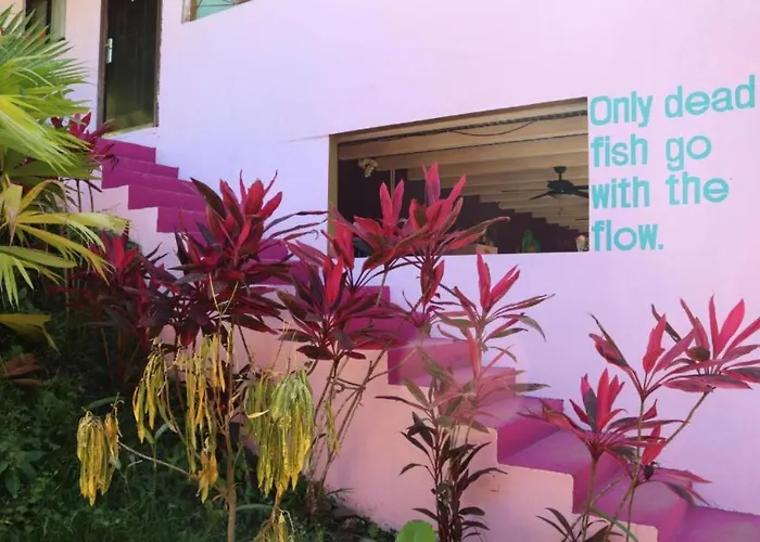 Planet B Hostel - Adults Only Manuel Antonio