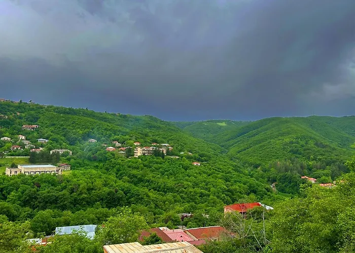 Hotel Vim In Sighnaghi
