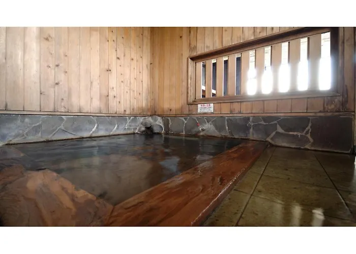 Tennen Onsen Kakenagashi No Yado Hotel Pony Onsen - Vacation Stay 50916V