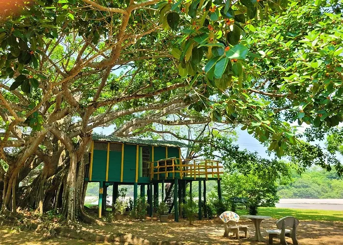 Hato San Pablo