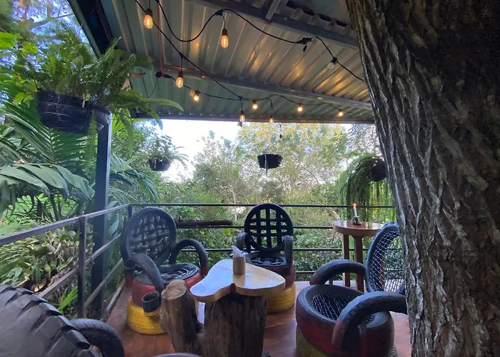 Hostal Café El Cedro