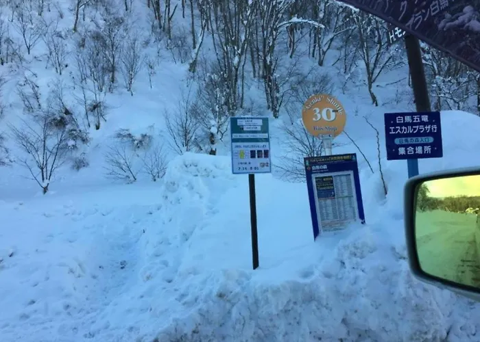Hakuba Park Hotel - Vacation Stay 96005V
