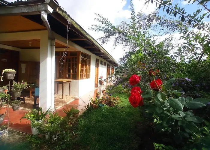 Hospedaje Pinky Lodge