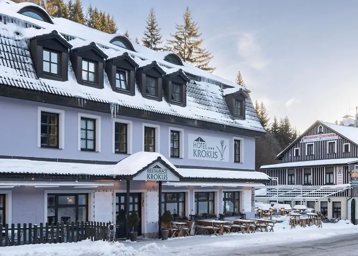 Hotel Krokus