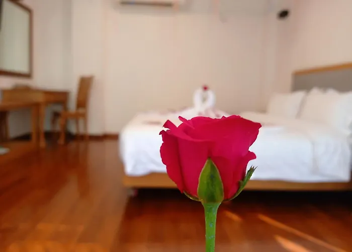 Dragon Phoenix Hotel