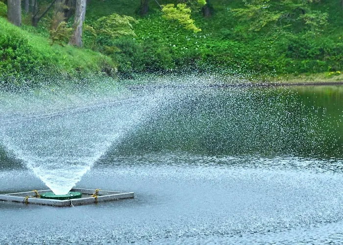 Toyoko Inn Joetsu Myoko Eki Nishi Guchi