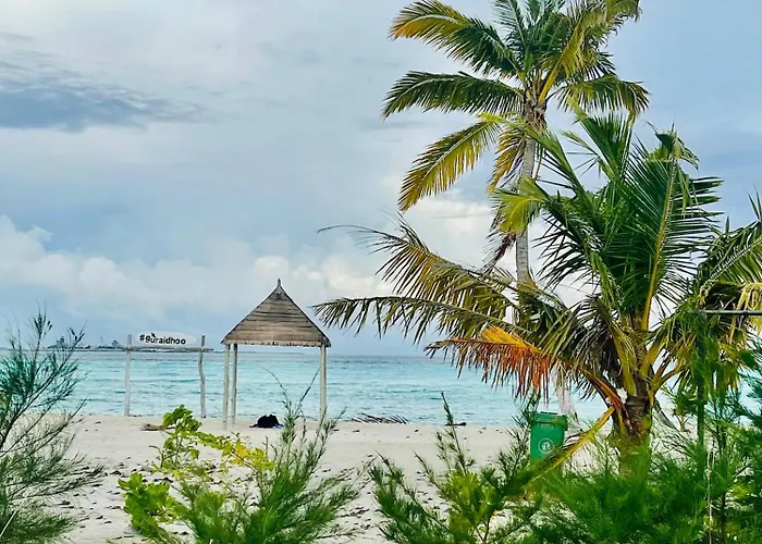 La Isla Tropica