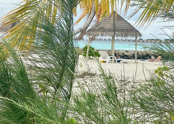 La Isla Tropica
