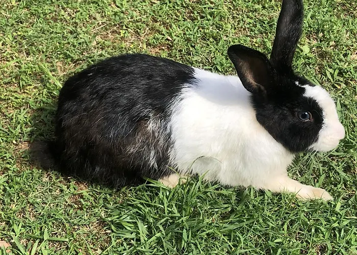 Candle House
