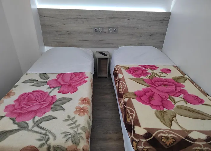 Alpha Hotel