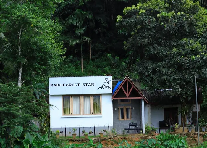 Rain Forest Star