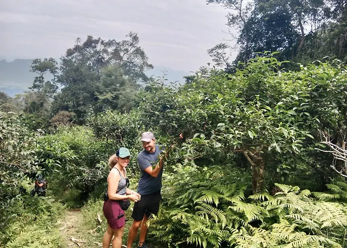 Ha Giang Yolo House And Loop Tours