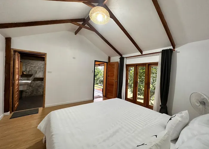 Jungle Guest House