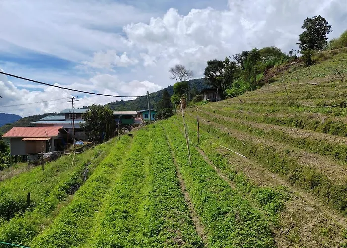 Kundasang Mount Garden