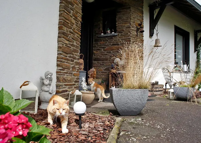 B&B Au Coq En Pate