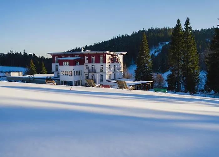 Das Waldhotel - Genuss & Wellness Am Notschreipass