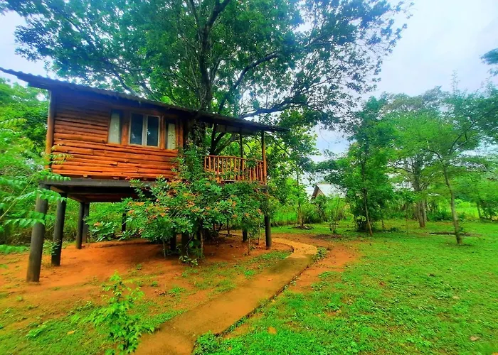 Tree House 4 Nature Lovers