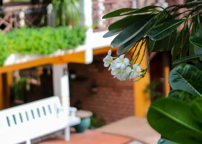 Chandara Boutique Hotel