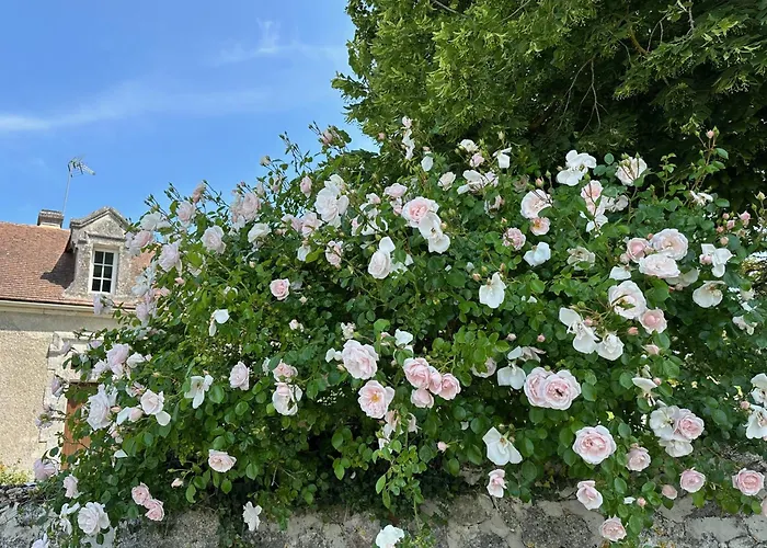 Hôtel Château de La Côte - Brantôme