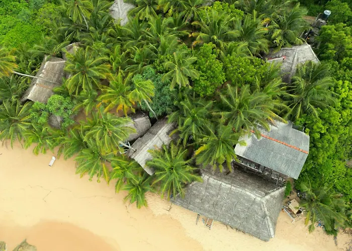 The Alpha Monkey Hotel & Tree House