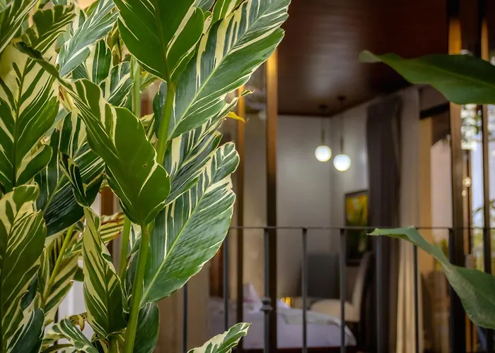 Miradas Arenal Hotel&Hotsprings