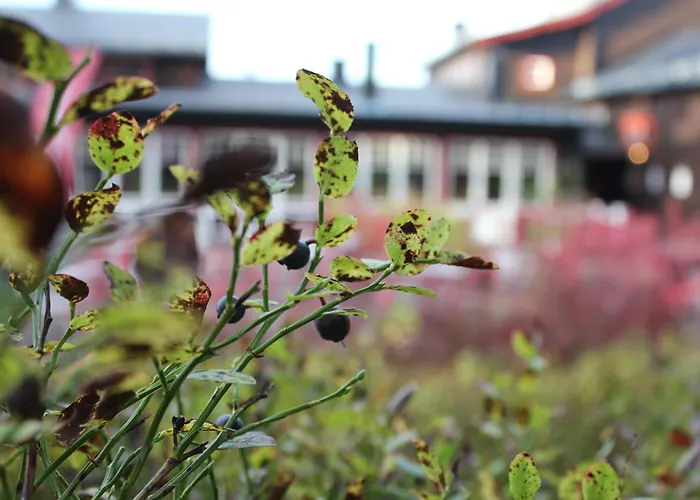 Olarsgarden Hotell