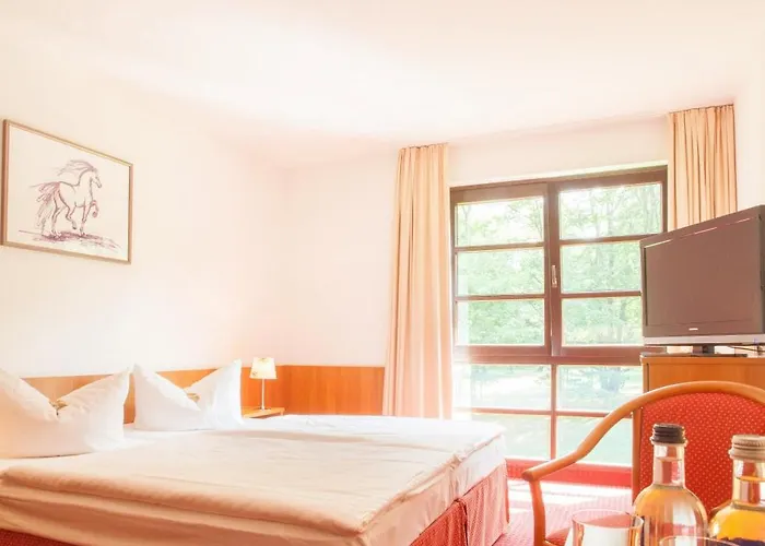 Kim Hotel Im Park