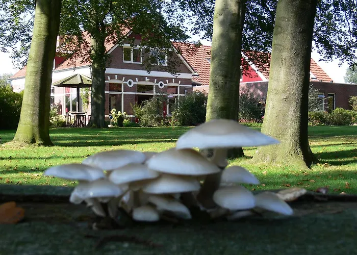 Hotel restaurant Nieuw Beusink