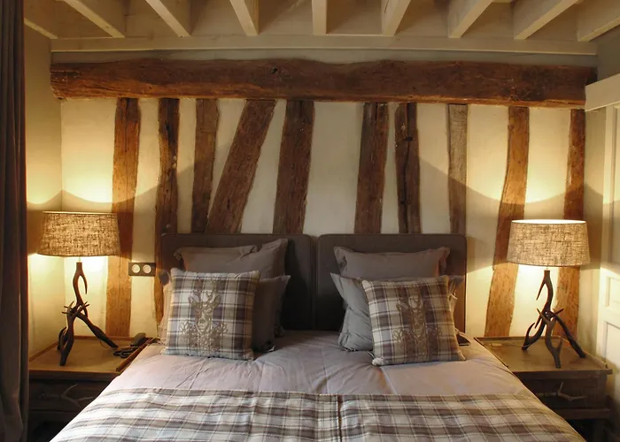 Hotel Du Grand Cerf&Spa
