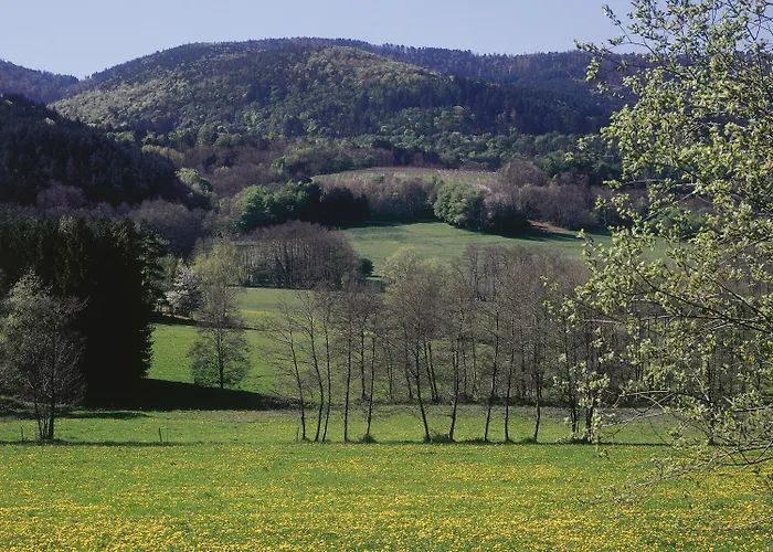 Hotel De La Vallée Noble