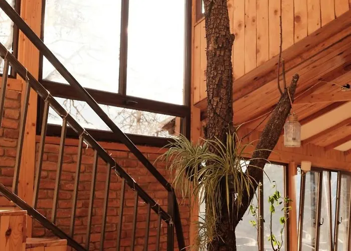 Arevatun Dilijan