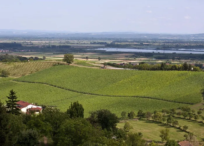 Stupnicki Dvori Winery Hotel